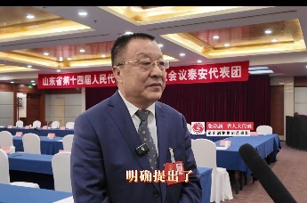 凤观两会 | 省人大代表、泰山酒业董事长张铭新：全面优化提升产品结构 为鲁酒振兴贡献泰酒力量