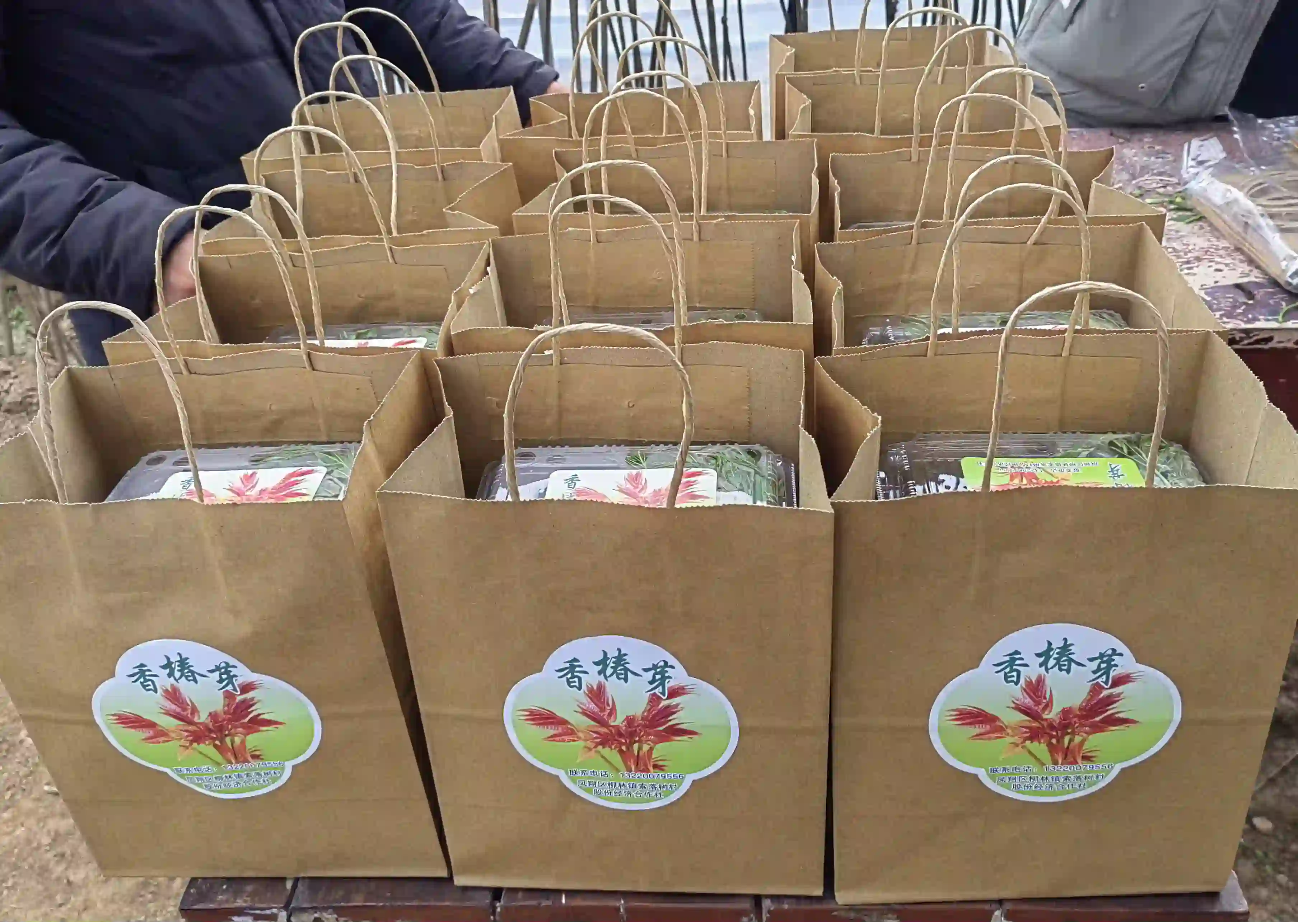 凤翔区：西府椿香暖寒冬 索落树村启新篇