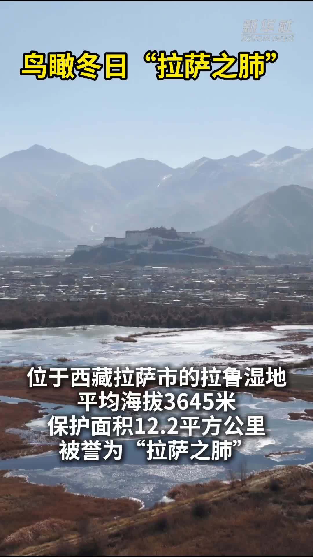 秀我中国｜鸟瞰冬日“拉萨之肺”