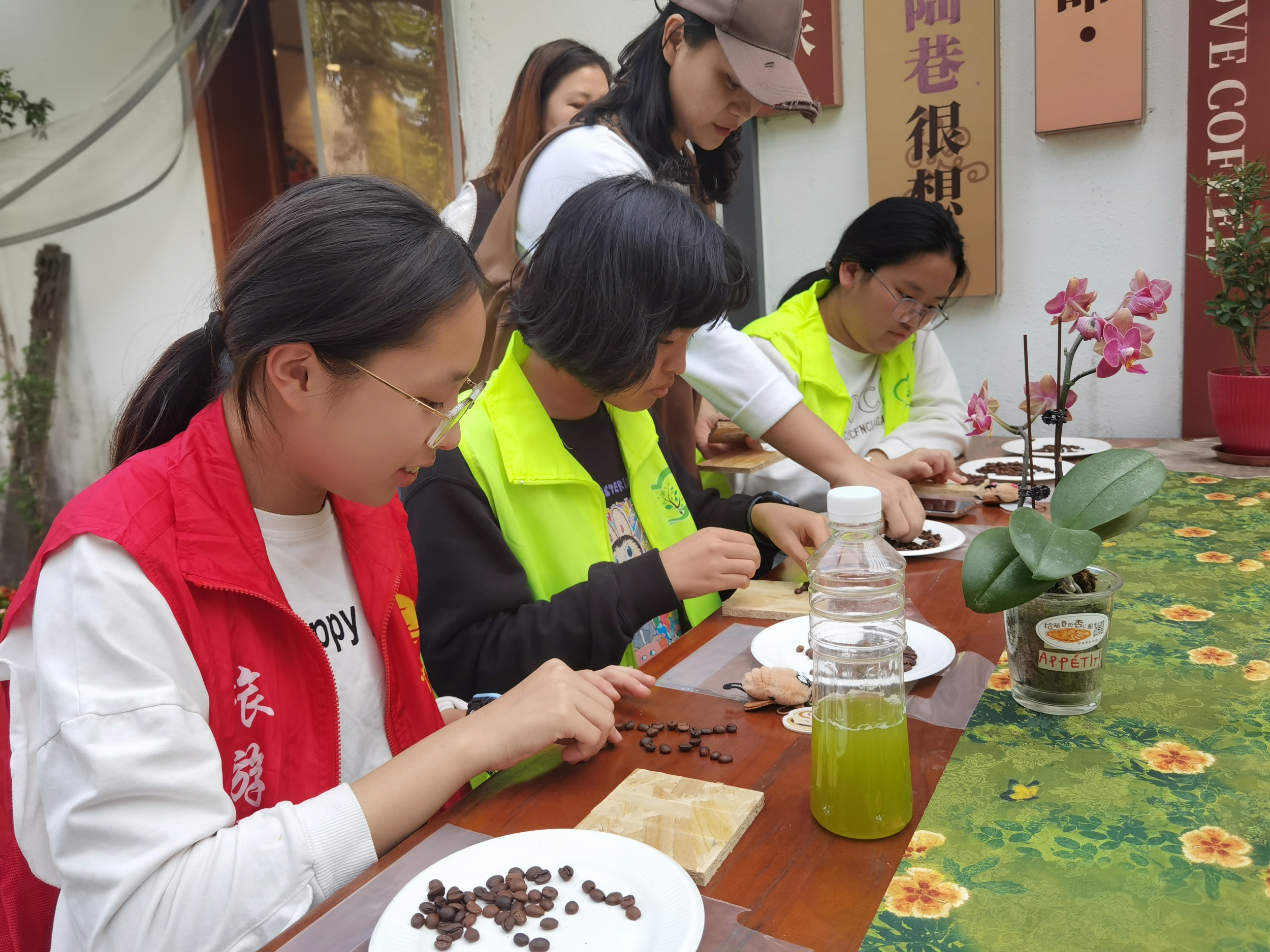 70余名青少年走进珠海斗门镇 在“行走的课堂”中触摸乡村振兴脉搏