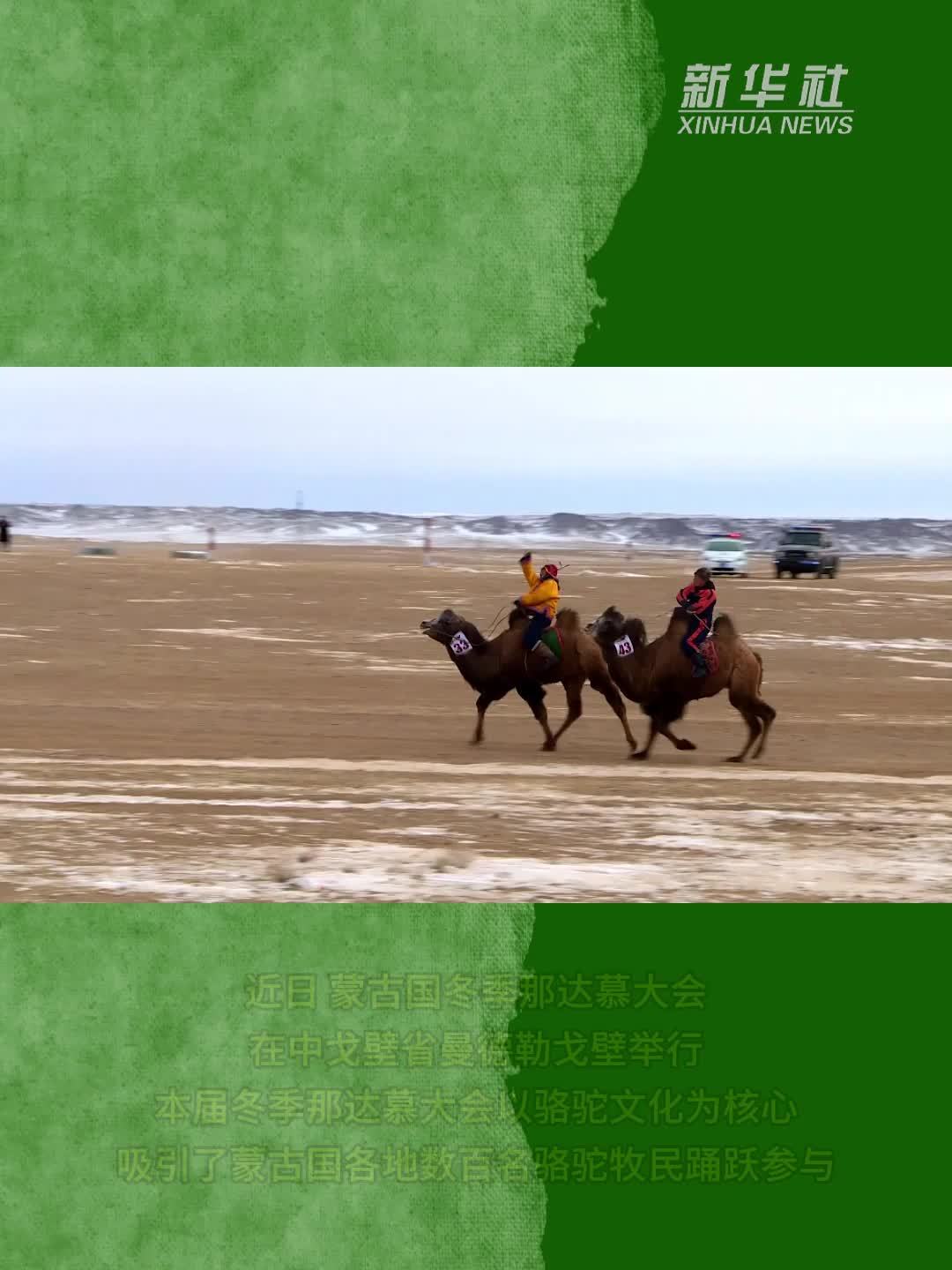 蒙古国：冬季那达慕大会