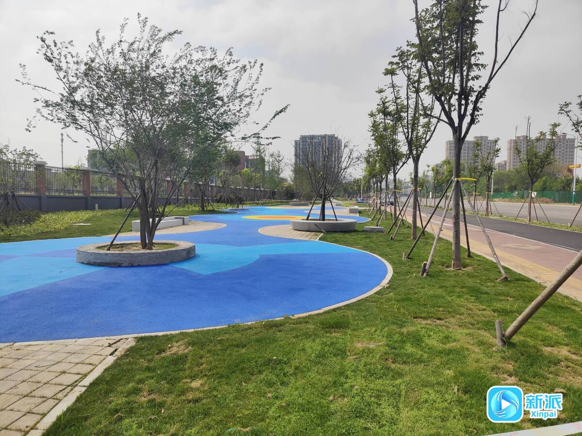 潍坊高铁新片区一处街头公园