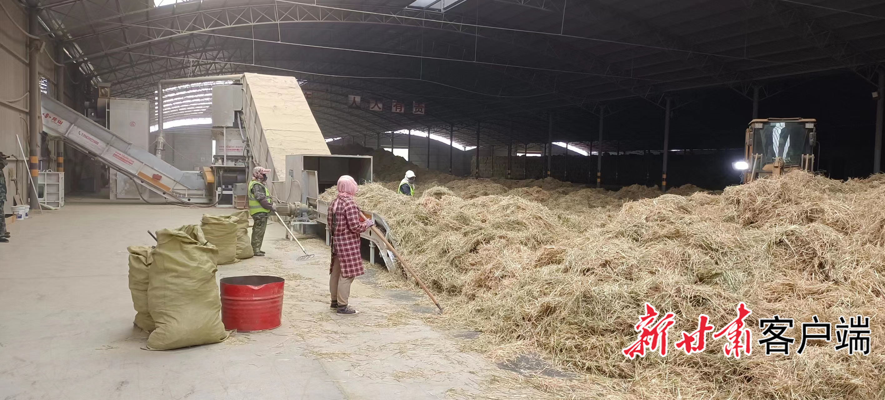 山丹县合方农牧科技发展有限公司的秸秆加工现场