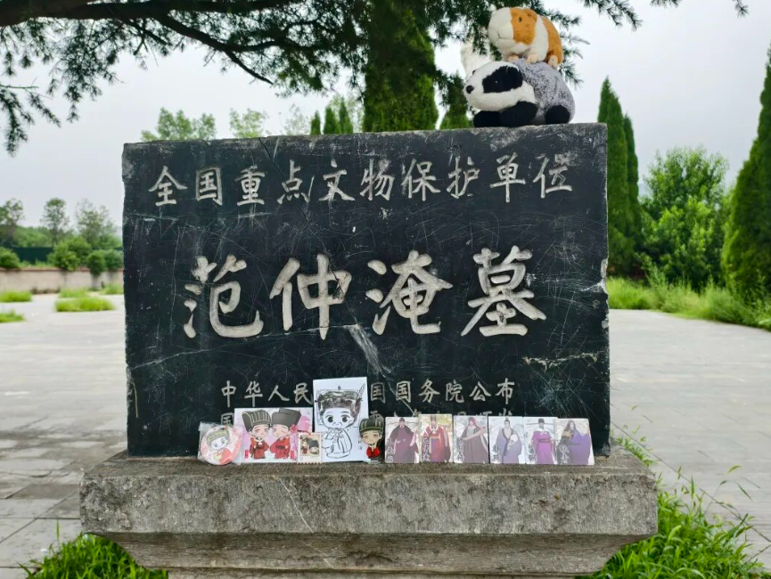 凤凰晚报|车祸顶包，为何能“金晨脱壳”？