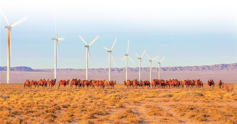甘州区平山湖乡风车 朱天玲