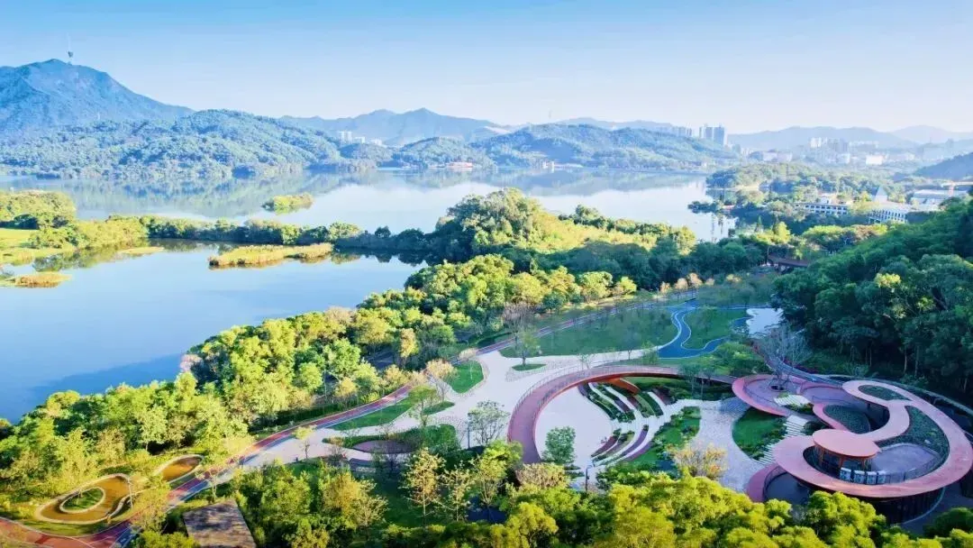 2025年罗湖区宣传思想文化系统十件大事