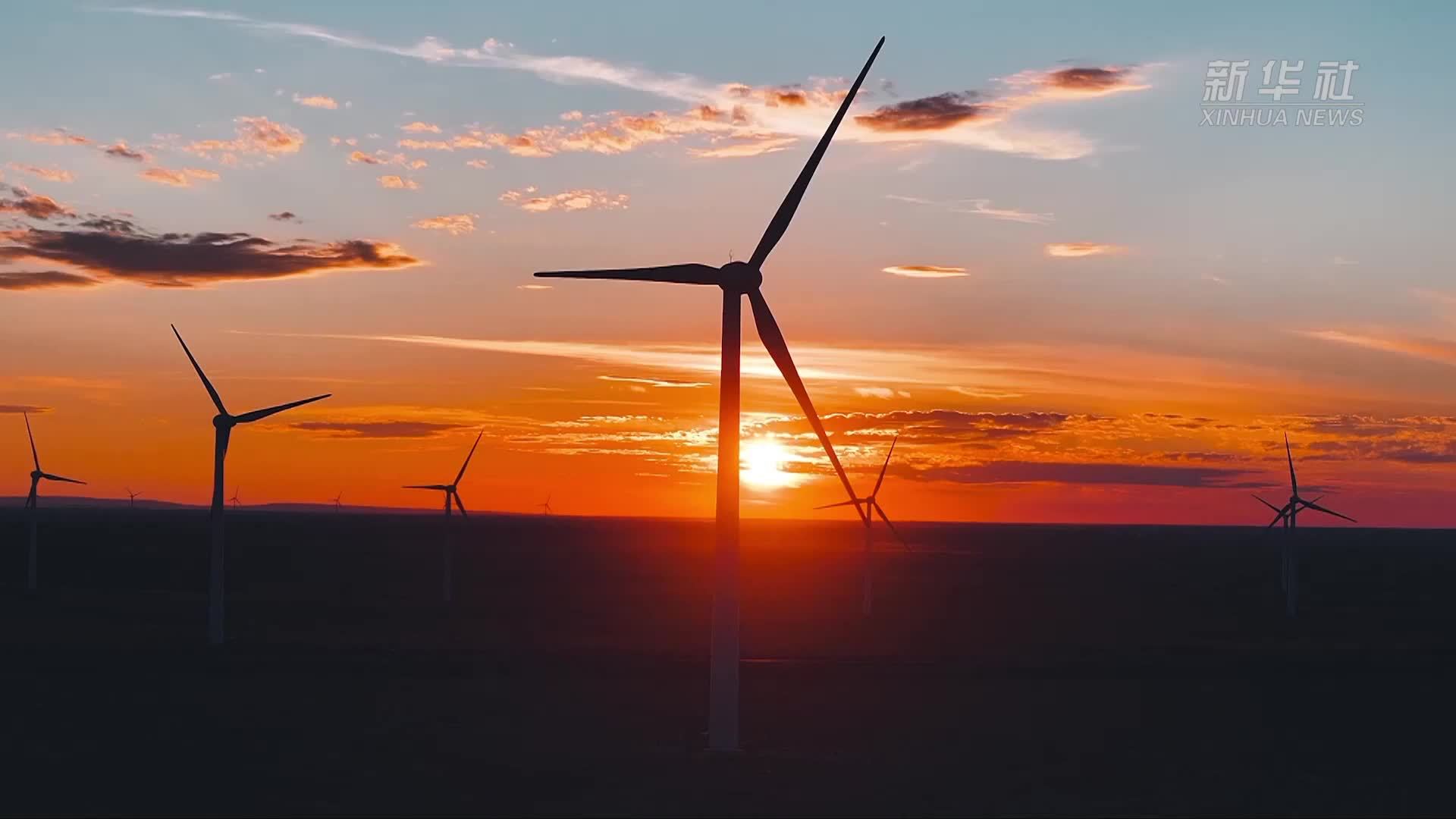 中国西北戈壁建起驭风发电的“白色森林”