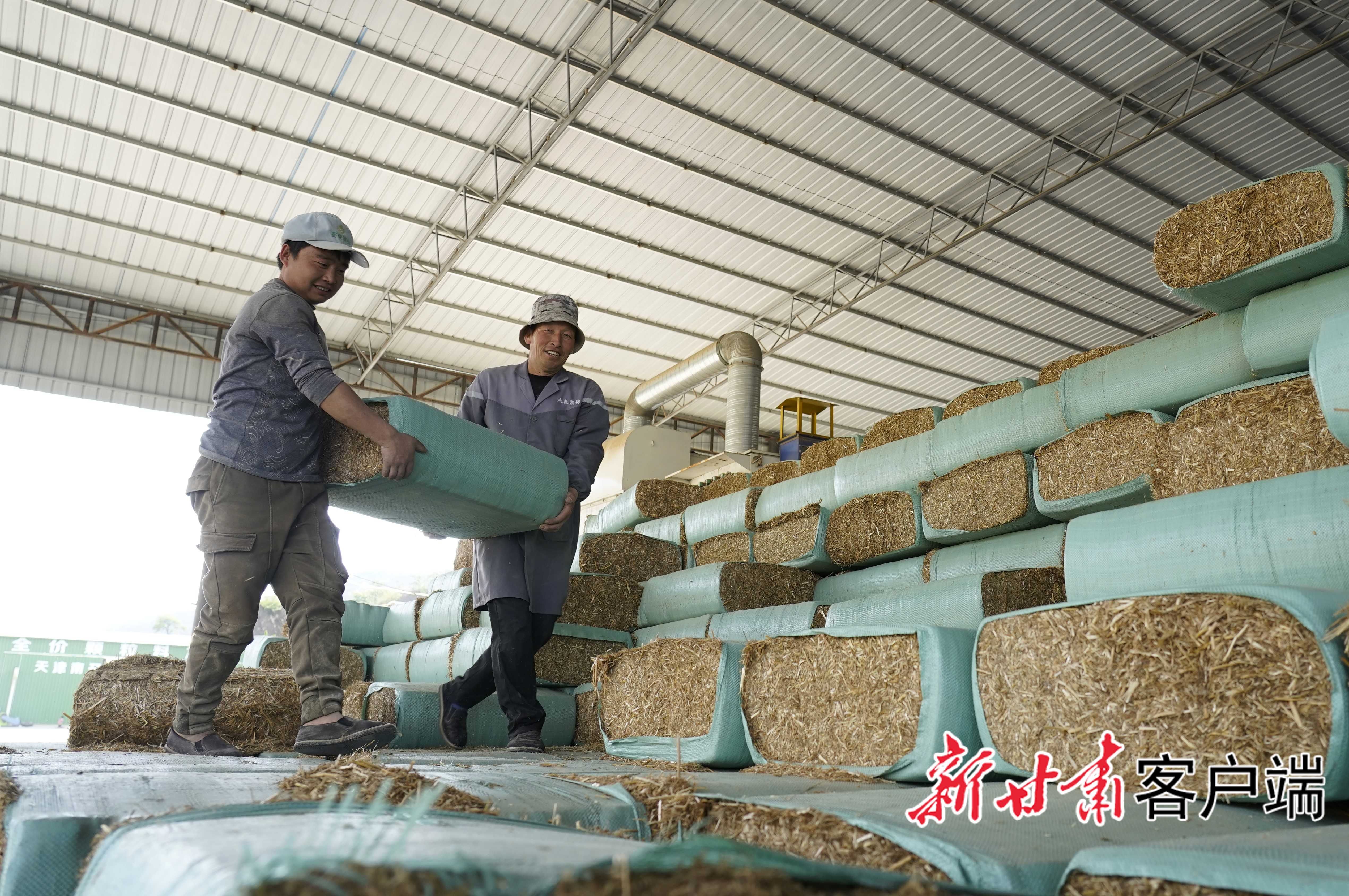 环县的秸秆揉丝打包车间