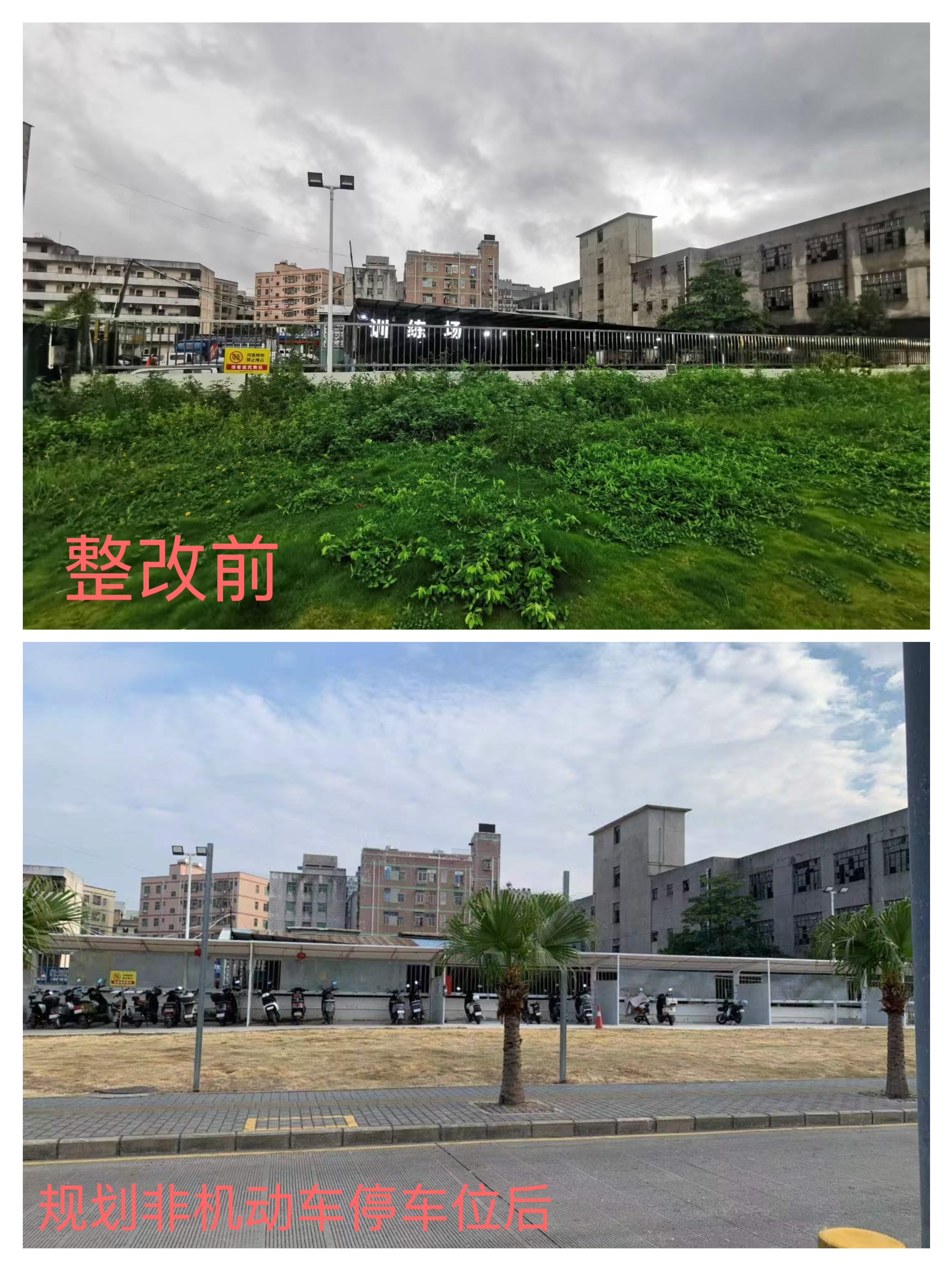 横岗：党建引领 社区巧治城中村交通顽疾