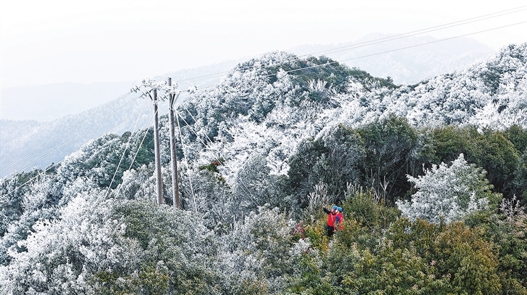 宁都县：战寒潮 保供电（图）