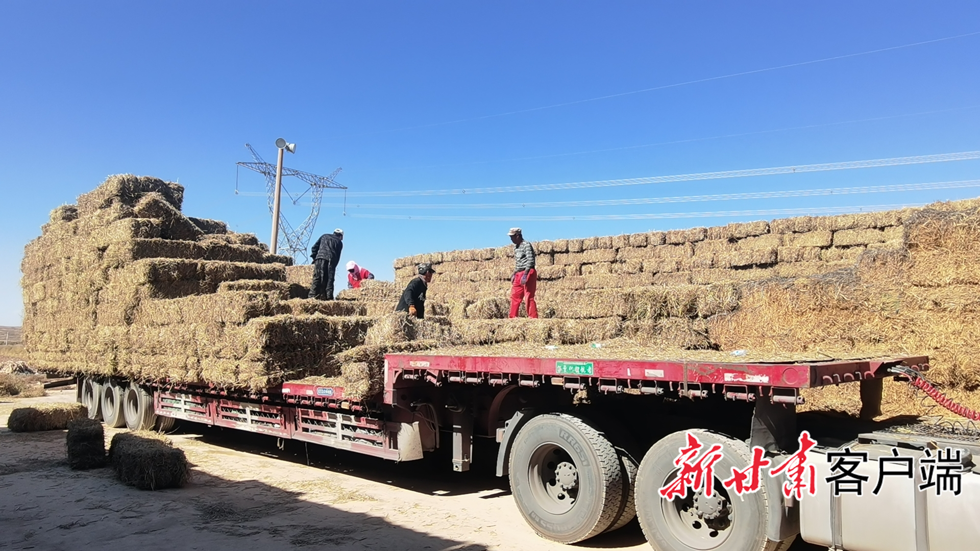 大型农机实现对秸秆集中转运