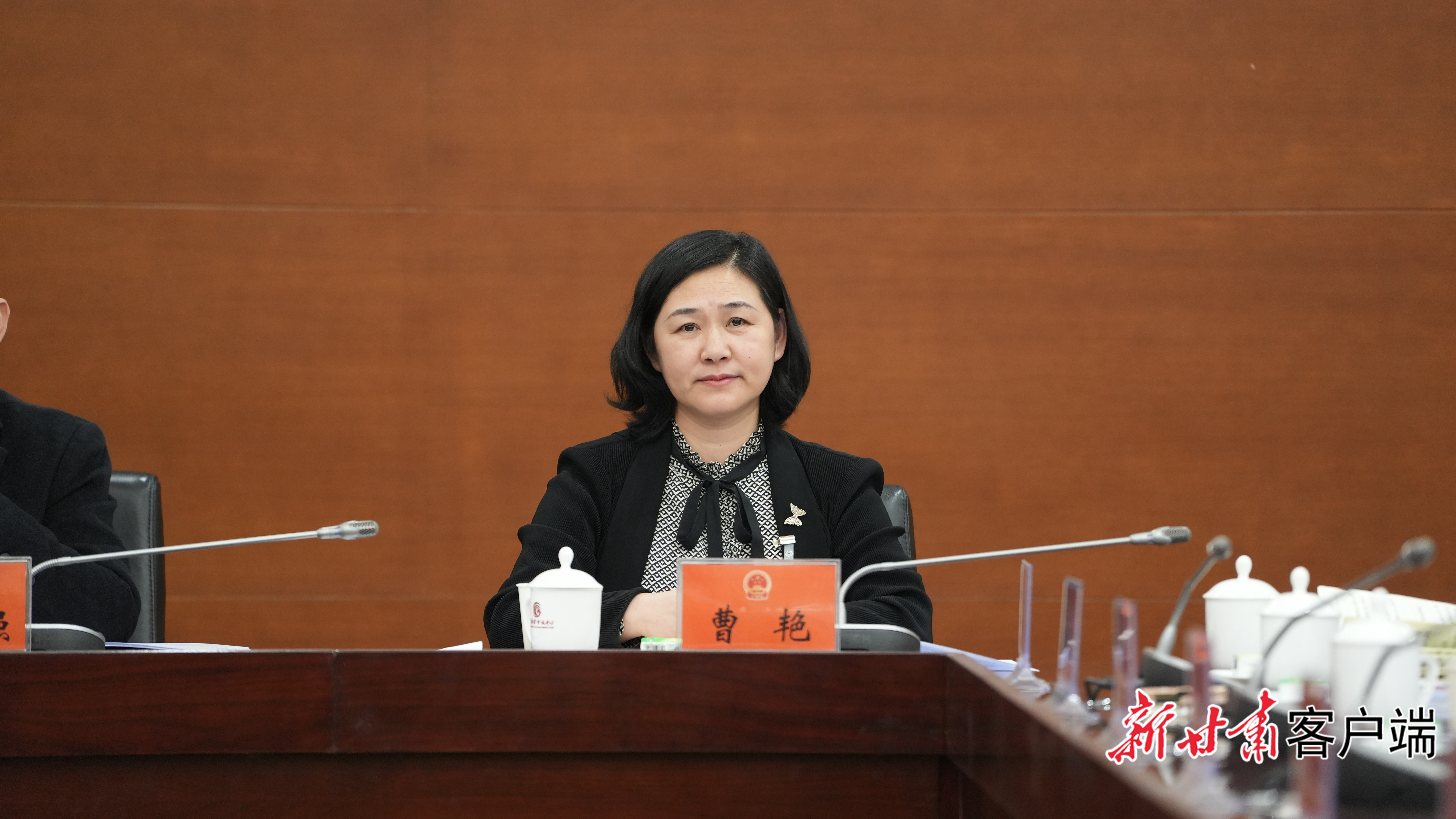 省人大代表、康县燕河湾农业开发有限公司经理曹艳