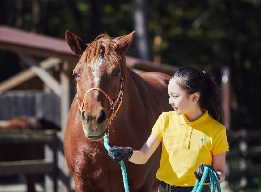 星野集团RISONARE：全家老小，尽享欢聚