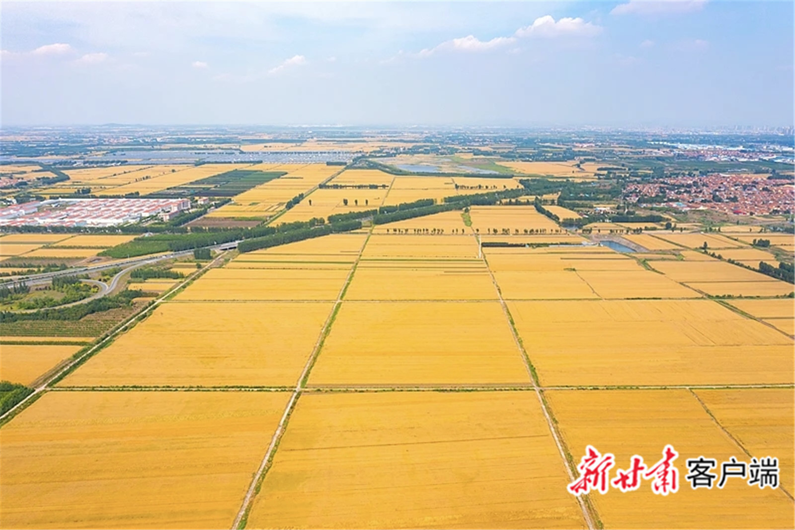 筑牢粮食安全底线　本文图片均由甘肃省农业农村厅提供