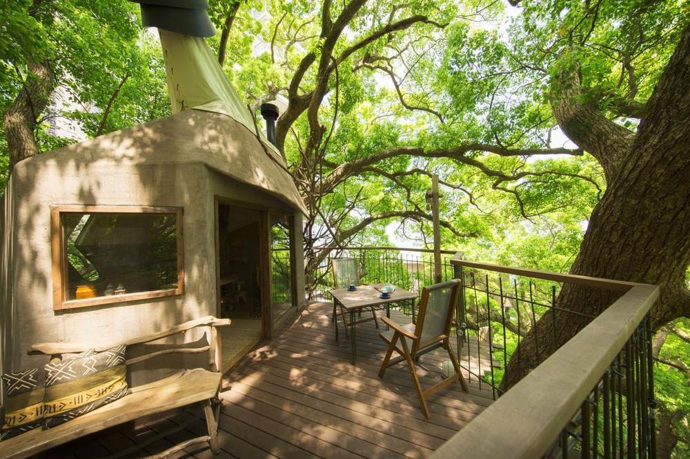 星野集团RISONARE：全家老小，尽享欢聚