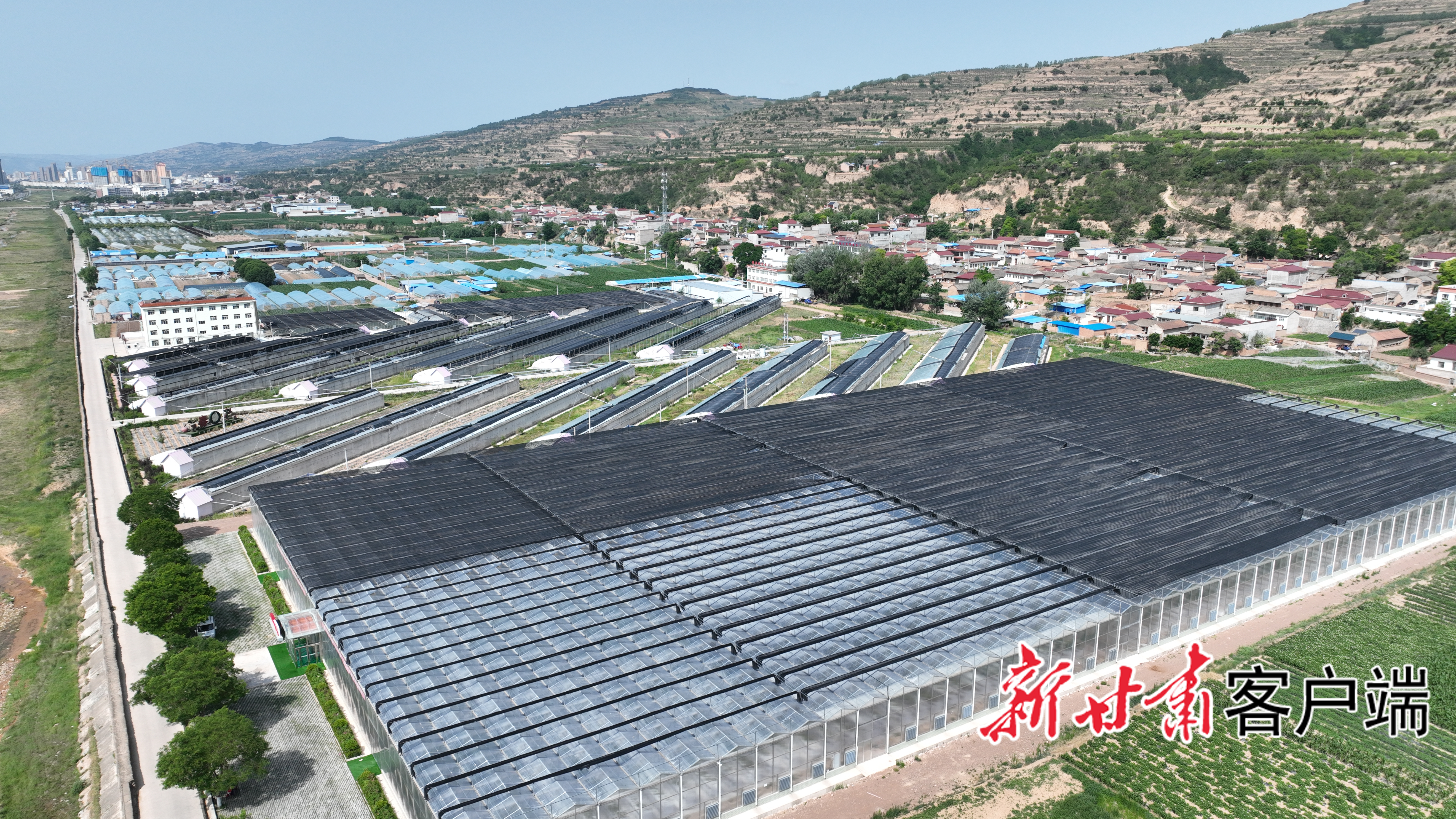 庄浪县马铃薯原原种科研繁育基地