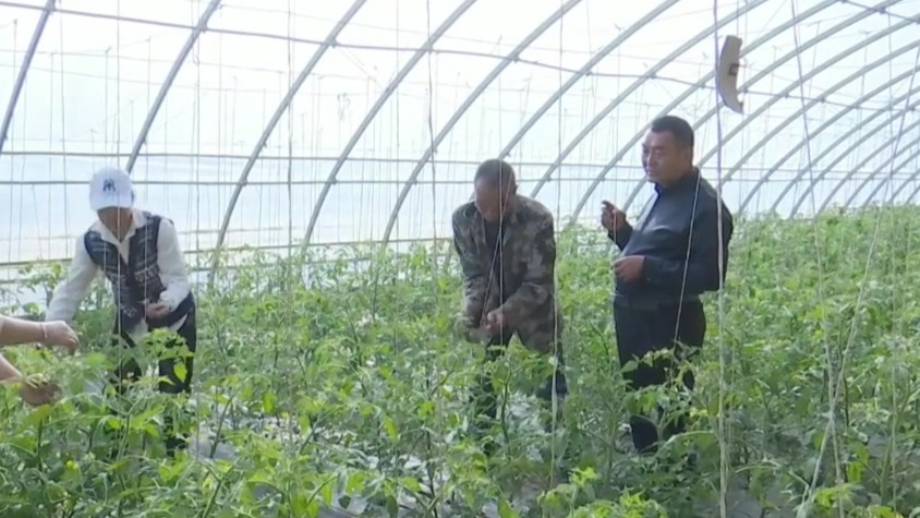 甘肃肃州建成一批农民工返乡创业基地　带动3800余人就业