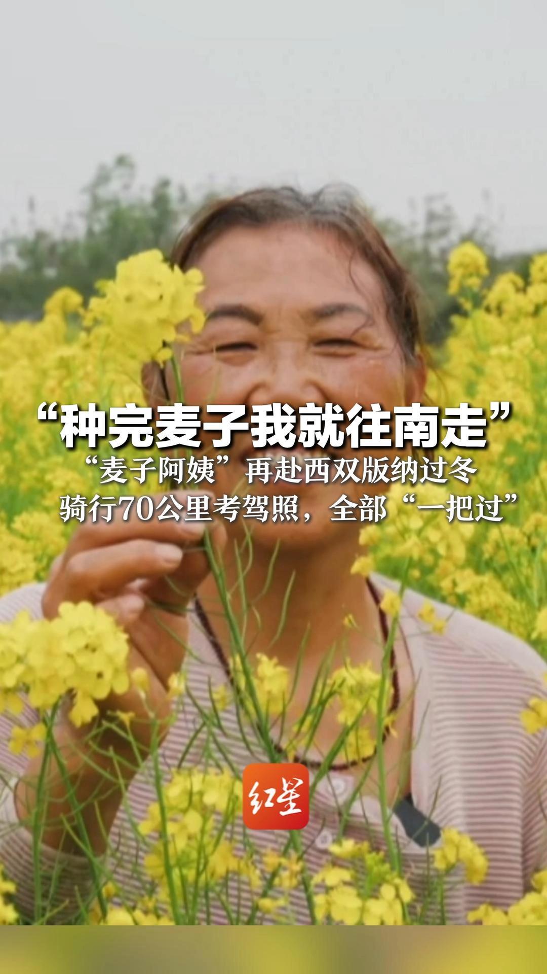 “种完麦子我就往南走” “麦子阿姨”再赴西双版纳过冬 骑行70公里考驾照，全部“一把过” 梦想走遍全国各地