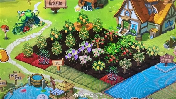 80 90后的养老游戏回来了！马化腾官宣：QQ农场将回归