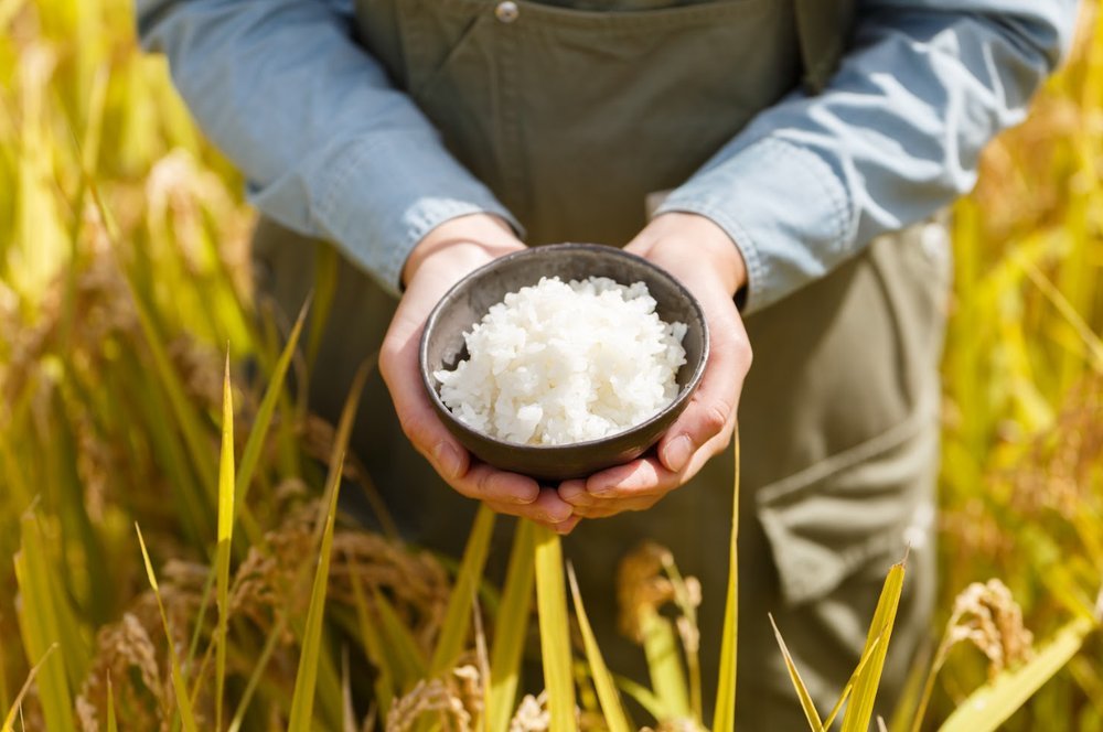 星野集团RISONARE：全家老小，尽享欢聚