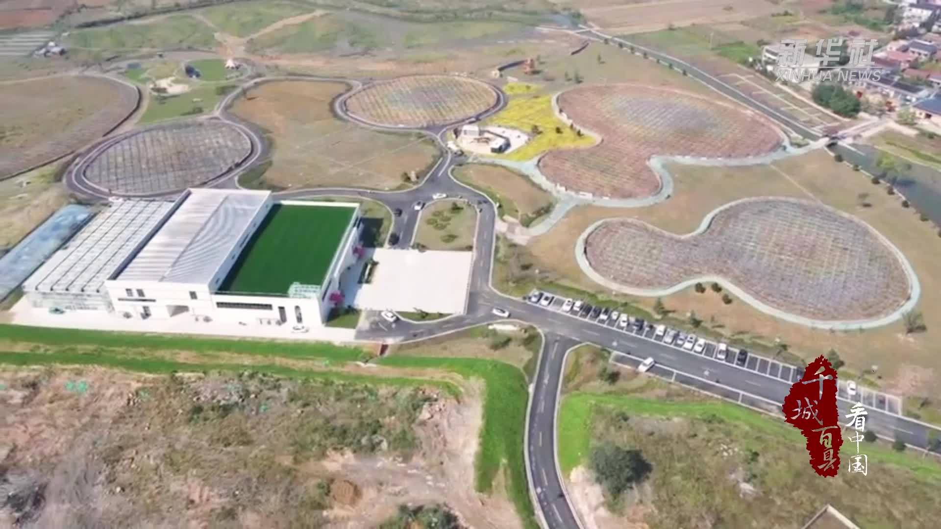 千城百县看中国｜山东兰陵：小葫芦串起大产业