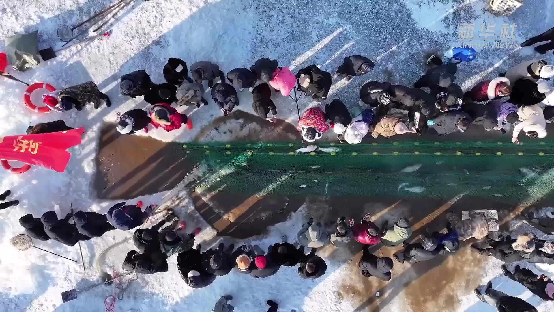 黑龙江密山：冰湖腾鱼庆丰收