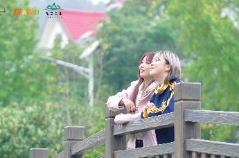 时间的密语：中分村漫步日记