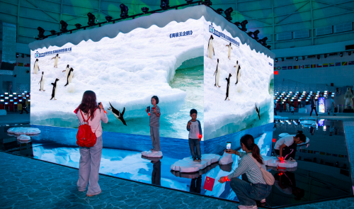 中国首个跨次元沉浸体验数智影像展——侯贺良8探南极影像大展数字化创新