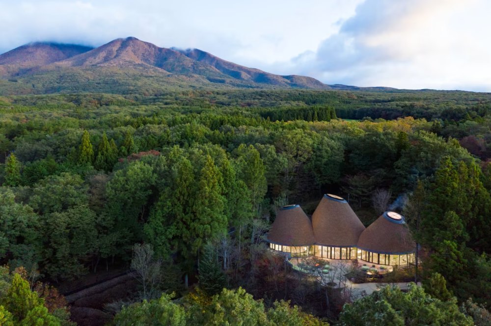 星野集团RISONARE：全家老小，尽享欢聚