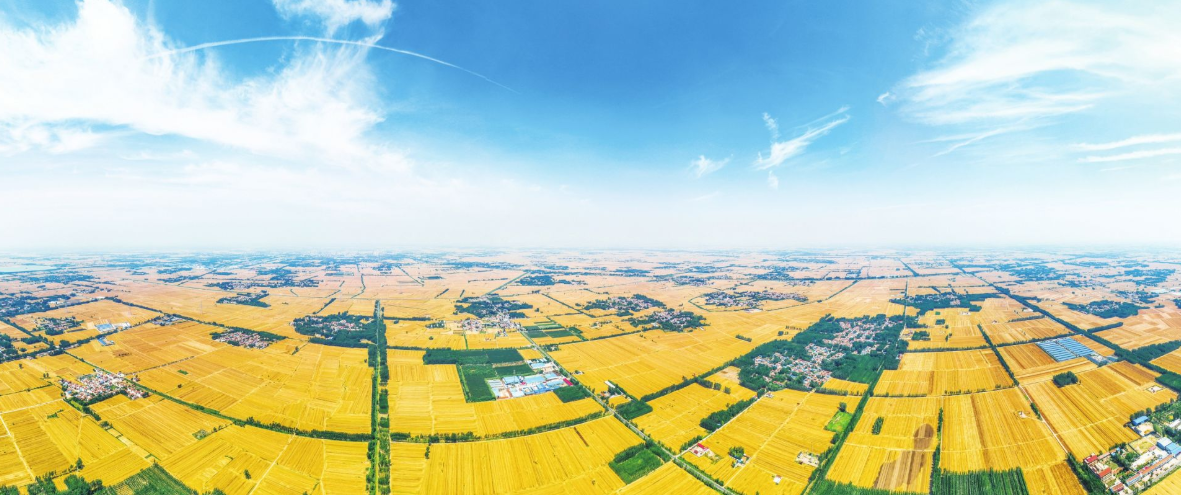 （图源：德州新闻网）