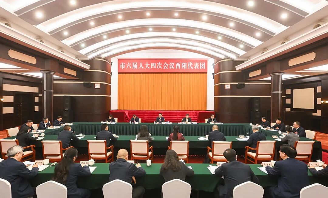 1月28日下午,市委书记袁家军参加酉阳代表团审议。记者 苏思 摄/视觉重庆