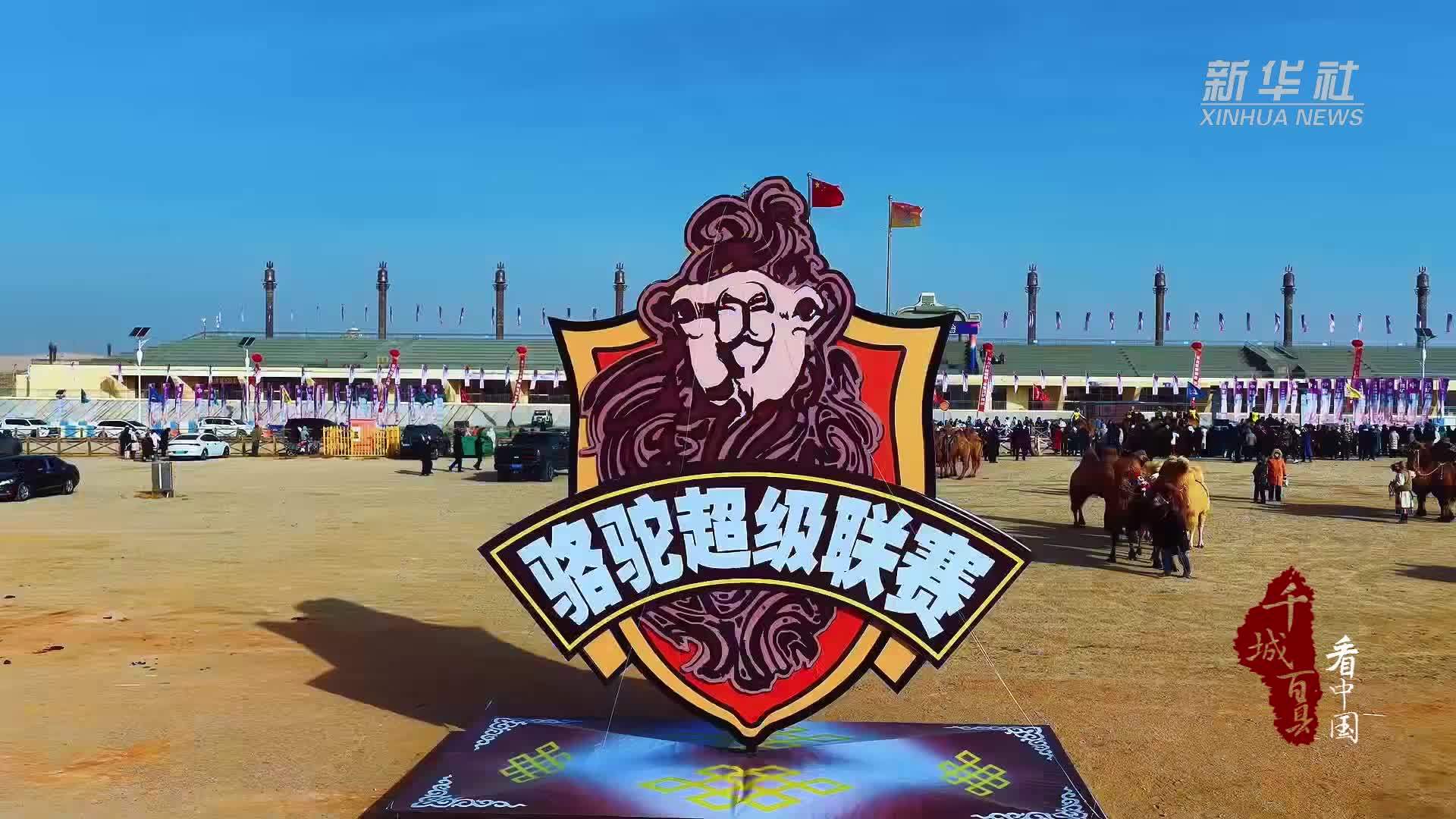 千城百县看中国｜内蒙古：“沙漠之舟”竞速燃情