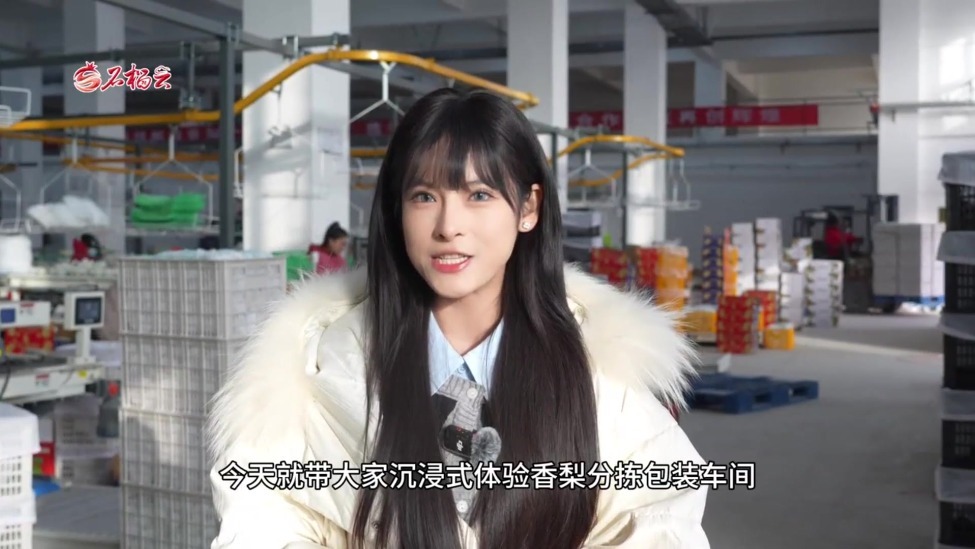 寻味新疆年货｜年味拉满！库尔勒香梨变身新春精致年货