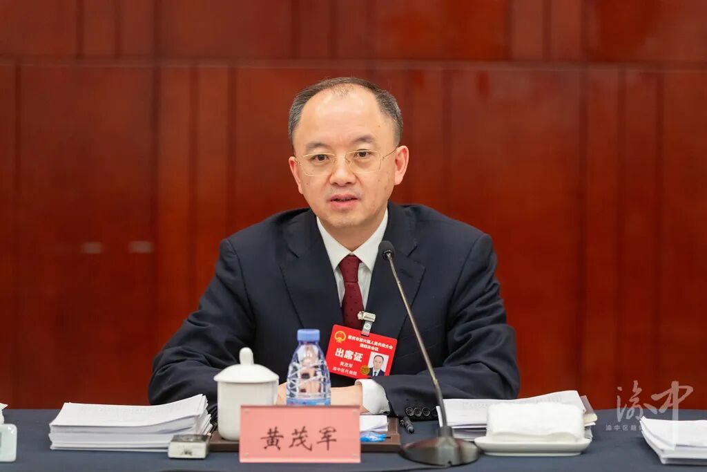 市人大代表、副市长、渝中区委书记黄茂军审议市政府工作报告