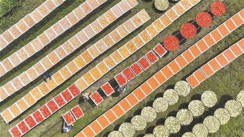 土特产变“俏商品”