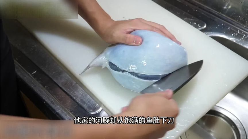 刚捕捞上来的河豚，先划开鱼肚满足食客的求知欲，再扯下鱼皮