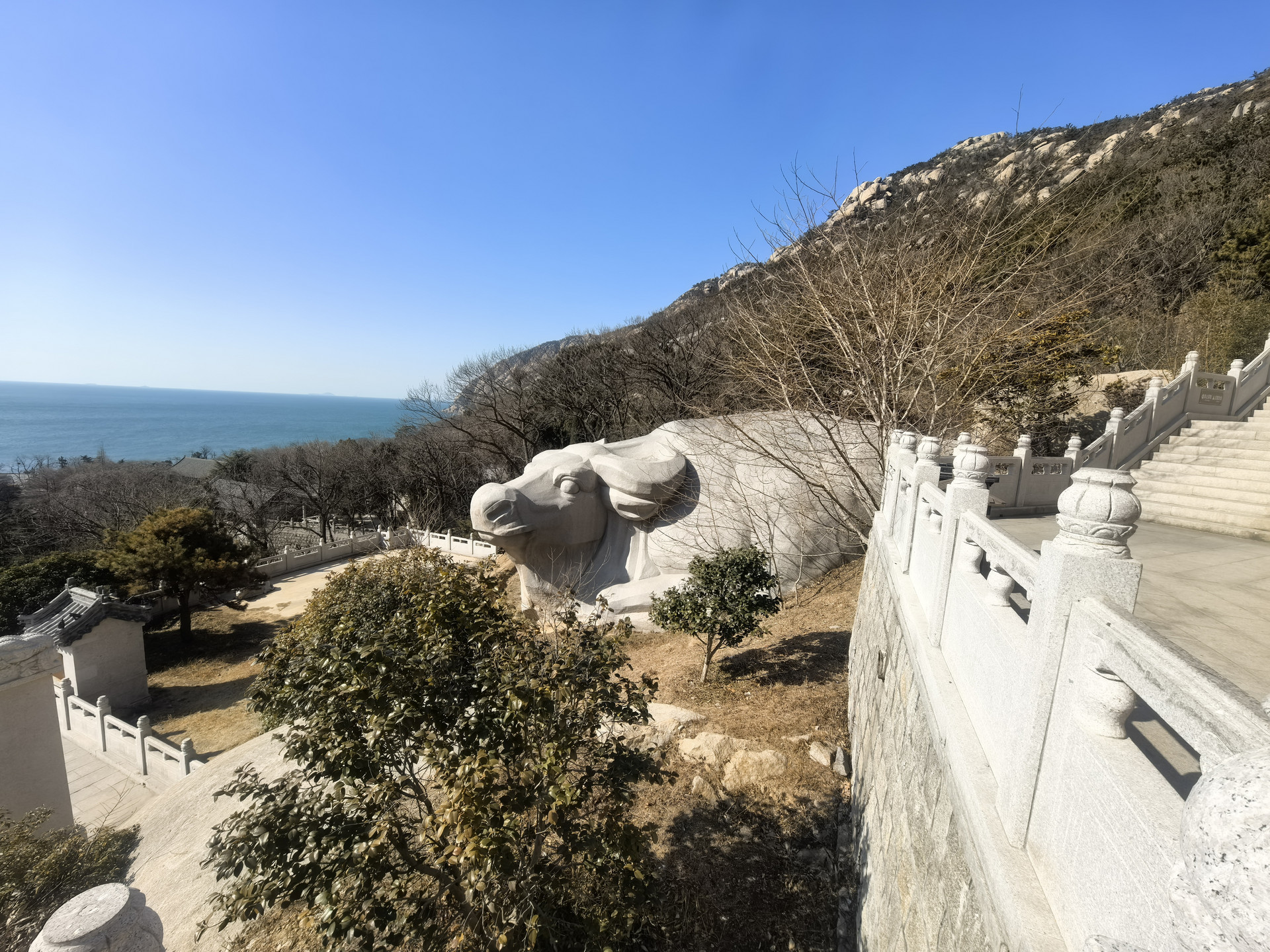 仿佛小憩于山野 青岛大珠山“骏马奇石”意外走红