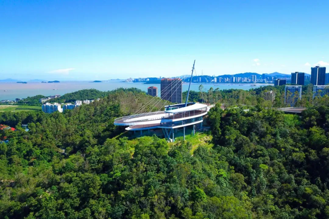 体验地道年味 珠海高新区将推出新春祈福线路