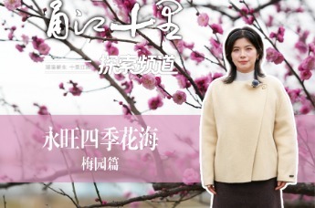 逛甬江十里，赏五村美景！这里是甬江十里探索频道