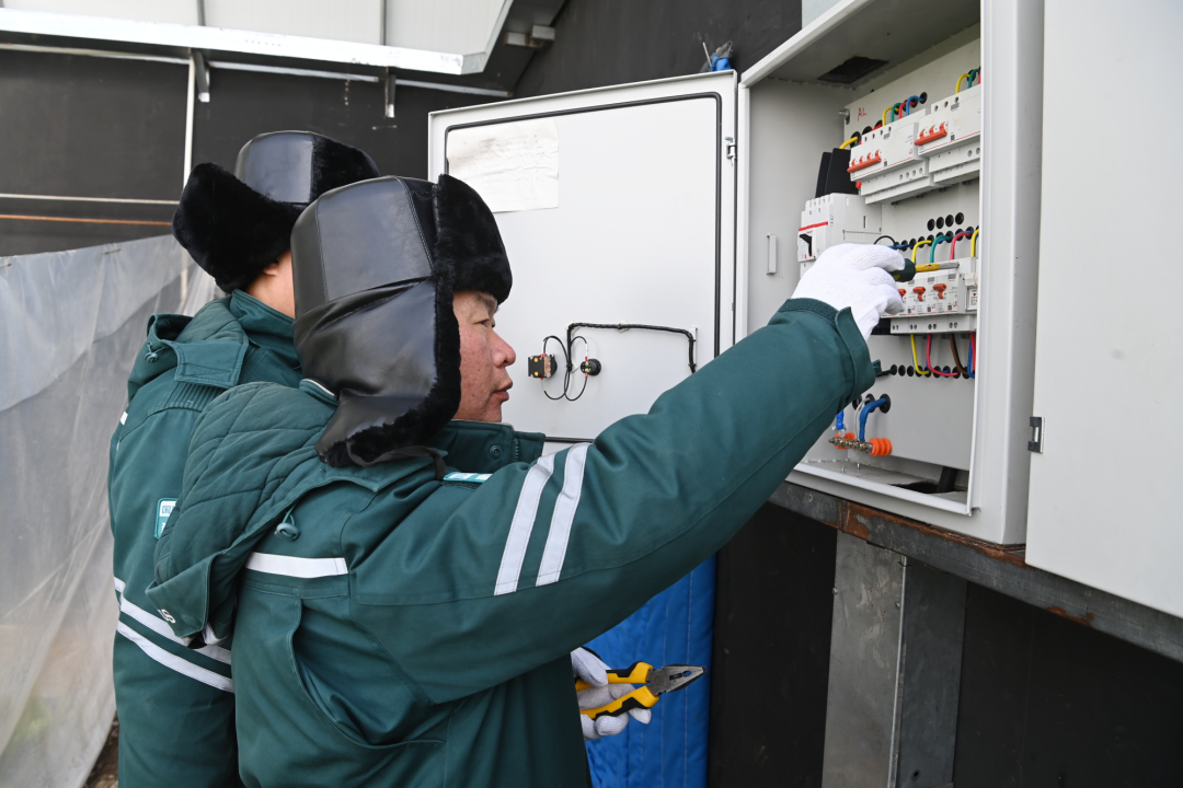 国网辽源供电公司的工作人员手持专业设备仔细检查棚内配电箱