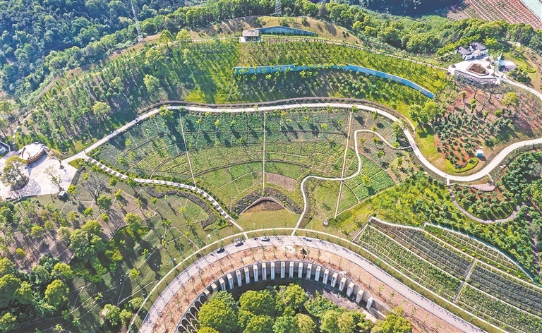 俯瞰安源区青山镇中医药养生小镇，昔日煤海矿坑焕新成康养绿谷。