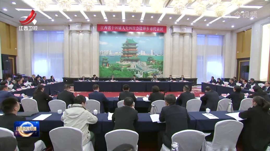 叶建春参加萍乡代表团审议