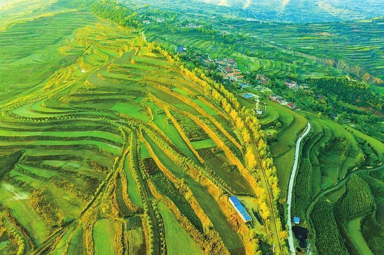 庄浪梯田 孙自强