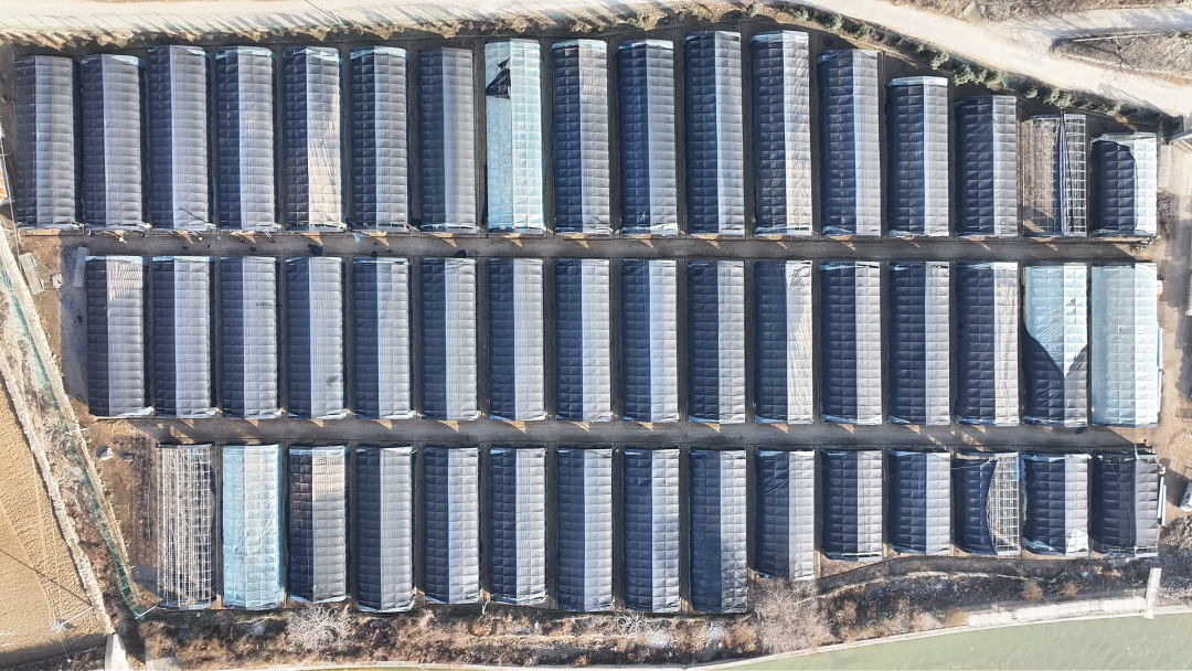 柞水：更新抢修齐发力 春耳种植启新程