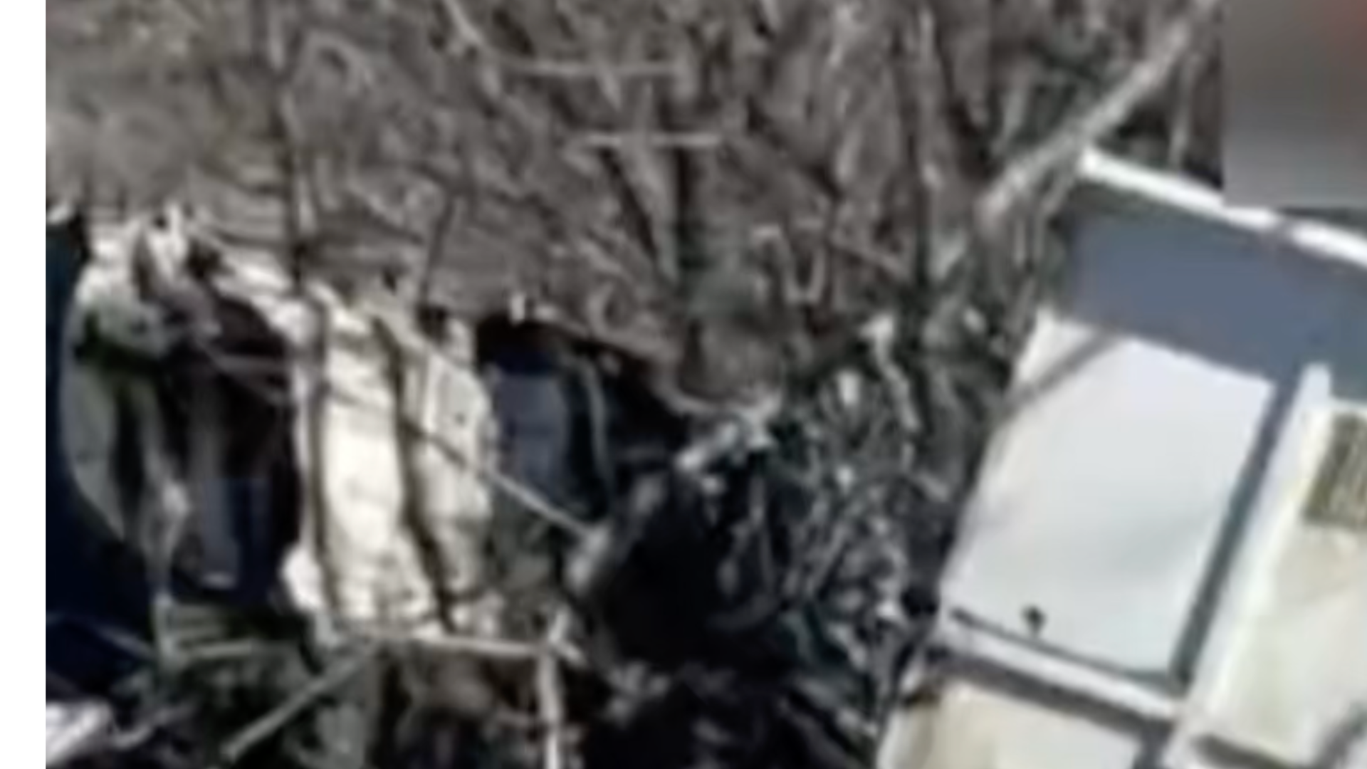 4名中国公民在日本一起列车与卡车相撞事故中受伤