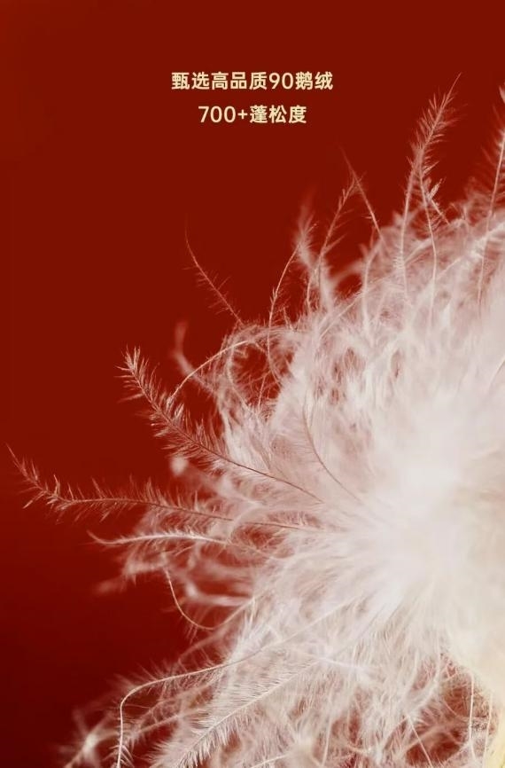 点击查看原始图片