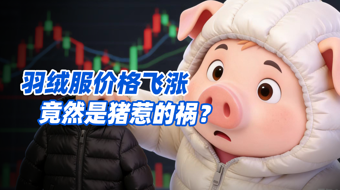 羽绒服价格飞涨，竟然是猪惹的祸？