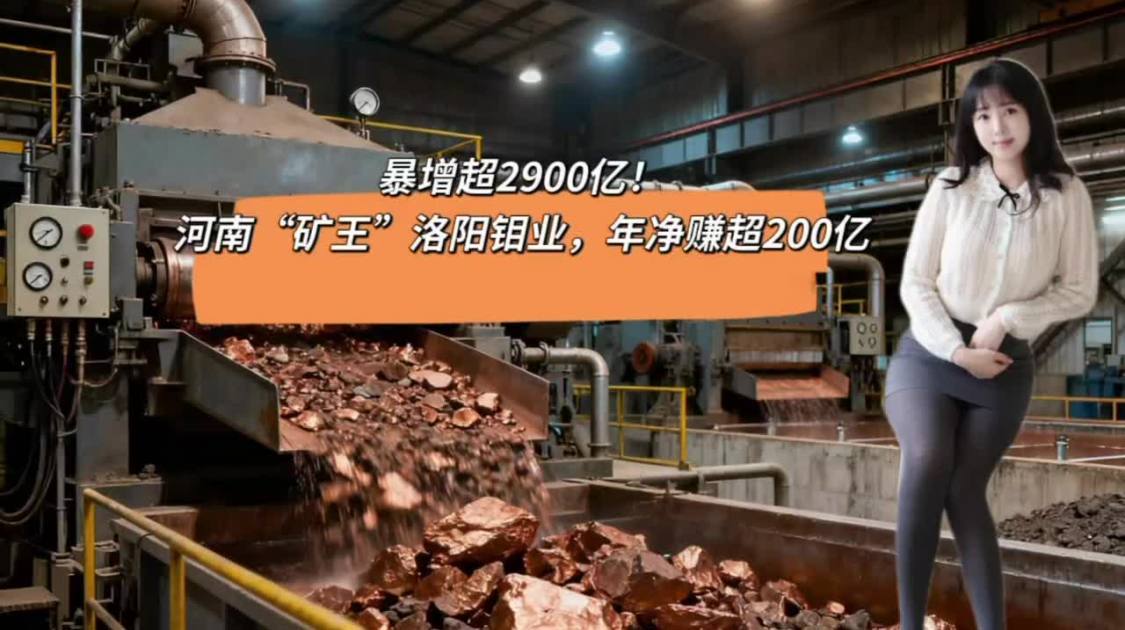 河南“矿王”洛阳钼业，年净赚超200亿