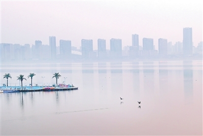 候鸟时而悠闲游弋，时而振翅掠过。