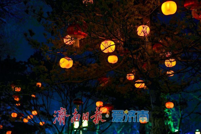 红灯笼缀满明湖岸 泉城夜色年味浓